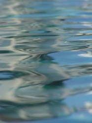 Boiler Leaking Water - RJ Gas Appliances Limited